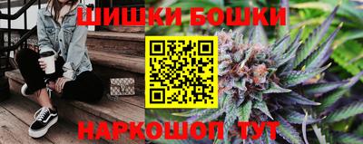 индика Кунгур